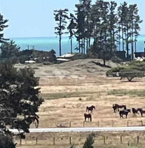 Parcela En Arauco A Pasos De Extensa Playa (92707)