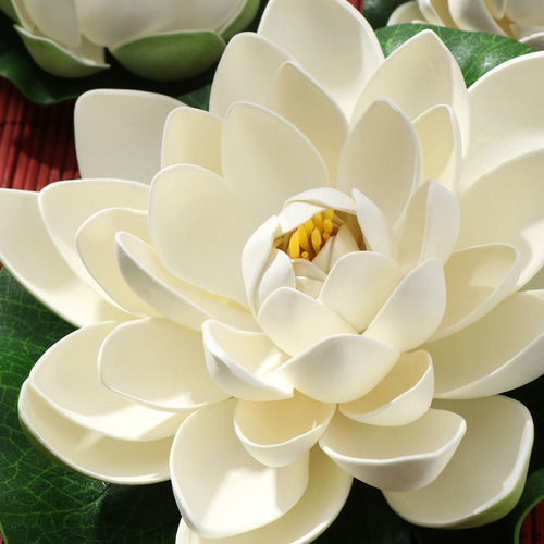 Hoja De Flores De Nenúfar Artificiales