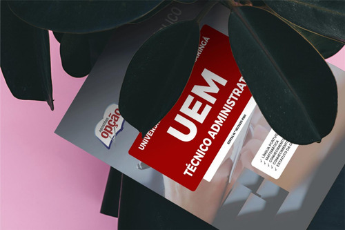 Apostila Concurso Uem 2023 - Técnico Administrativo