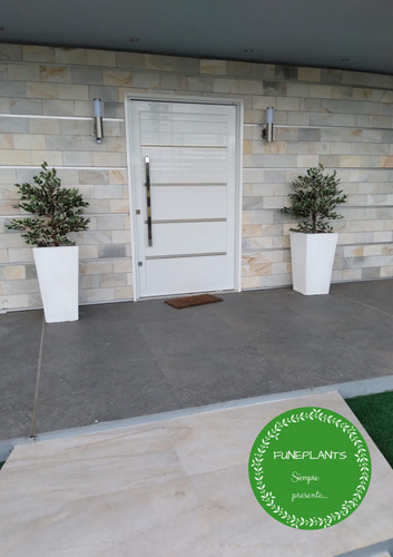 Plantas De Interior Artificiales - Ficus Disciplinado