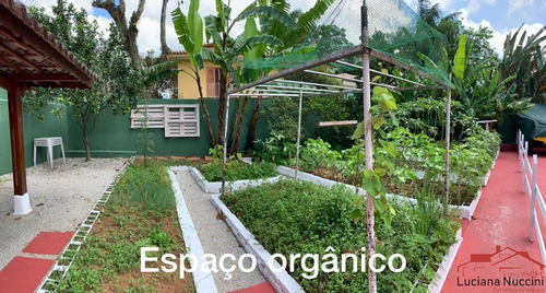 Imagem 3 de 30 de Casa - Ca00035 - 69291703