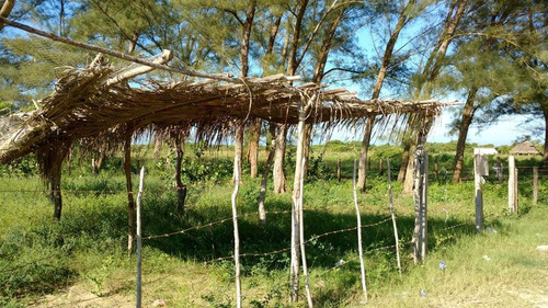 Venta Lotes 400 M² Playa Sur Tamiahua Veracruz