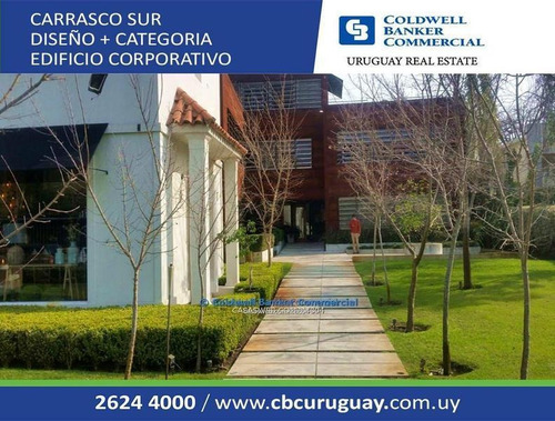 Oficina Carrasco Alquiler