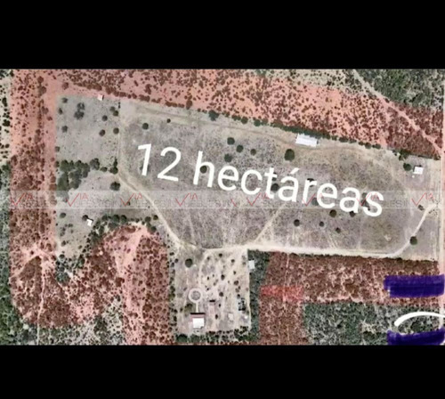 Montemorelos