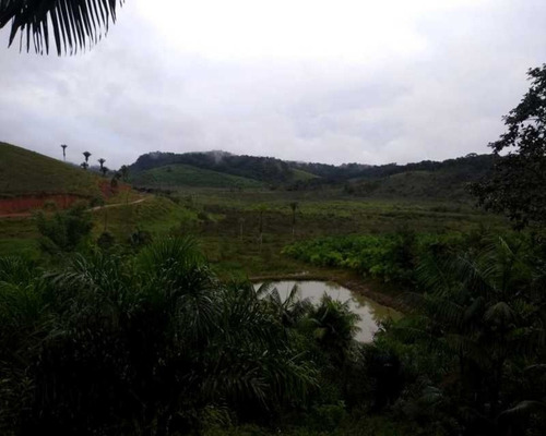 Imagem 8 de 30 de Fazenda - 0132 - 32820420