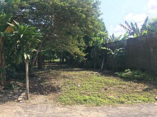 Imagen 3 de 11 de Terreno Comercial En Venta Col. El Torito