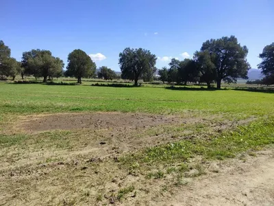 Terreno en venta