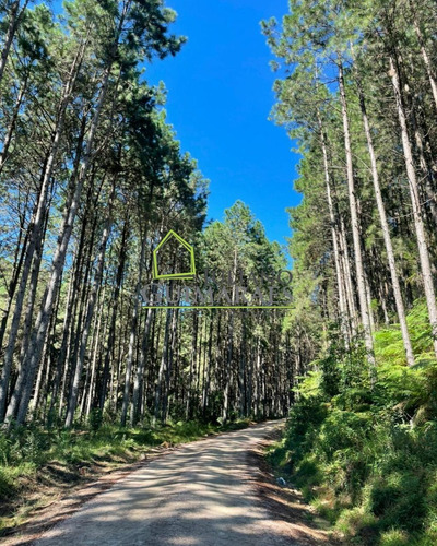 Imagem 6 de 21 de Terreno Á Venda No Condomínio Residencial Chapada Das Araucárias, Rancho Queimado Sc - Te00026 - 70284281