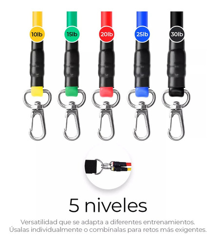Ligas De Resistencia Raganet Para Pilates Y Gimnasio Multicolor