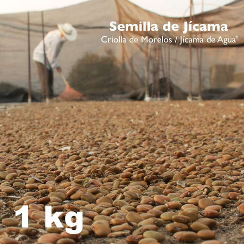Imagen 1 de 3 de Semilla De Jícama - 1 Kg