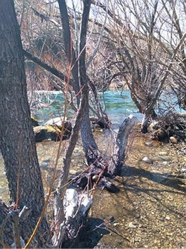 Imagen 5 de 15 de Lote Con Costa De Río Quillen - Aluminé