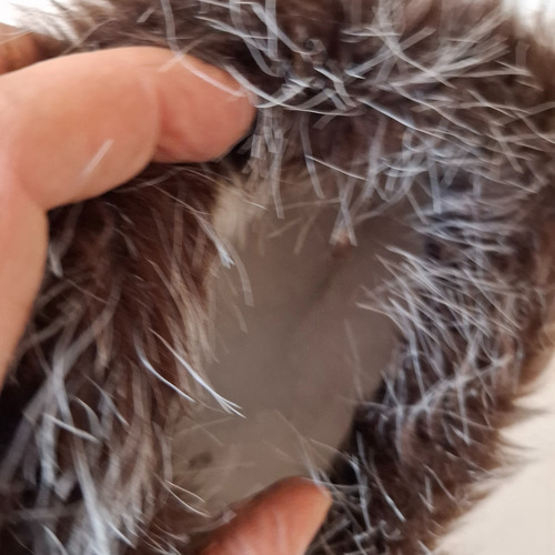 Pantuflas Compradas En Holanda Con Corderito Talle M