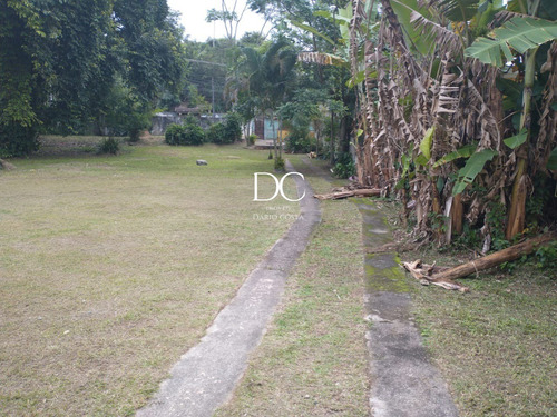 Imagem 4 de 8 de Area - Ar00003 - 69545654