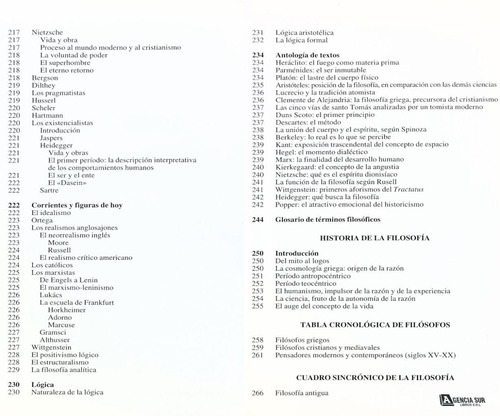 Áreas Arte Filosofía Ideas Y Creencias, Consultor Didáctico
