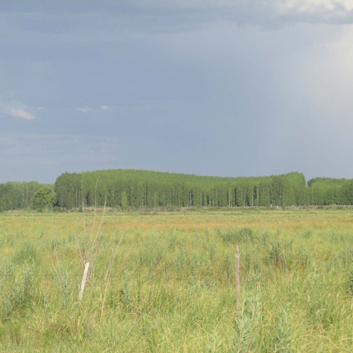 Campo Con Vertiente En Venta Tunuyán Valle De Uco