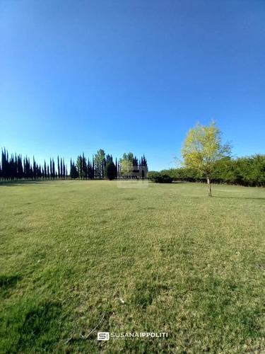 Imagen 20 de 23 de Finca Productiva De 17ha En General Alvear - Mendoza