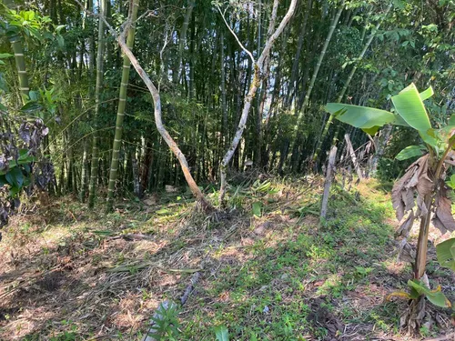 4 Lotes En Venta En El Peñol
