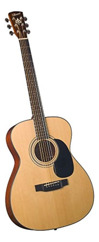 Guitarra Acustica Bristol Bm16 000