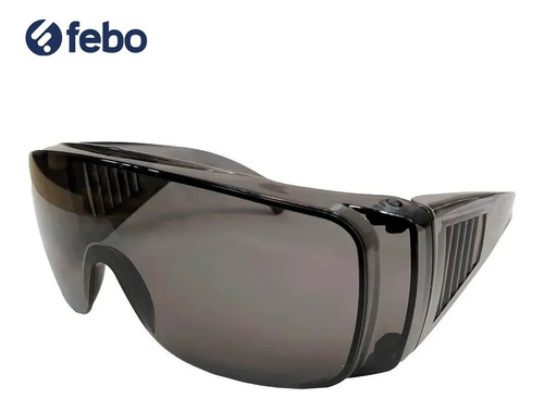 Imagen 5 de 8 de Lentes De Protección Trabajadores Acrílico Febo