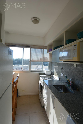 Imagen 6 de 12 de Boulevard Portezuelo 2 Amb Amoblado Coch Y Baul (101210903)