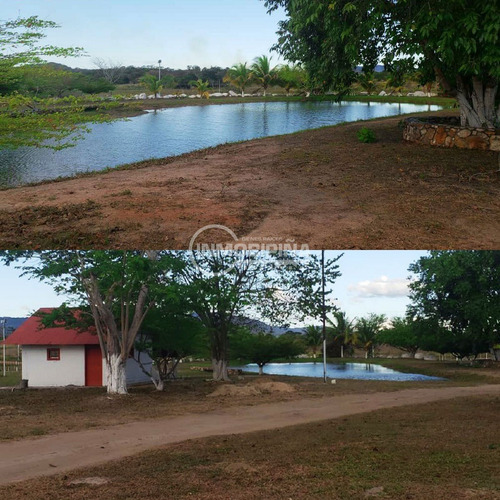 Imagen 2 de 4 de Finca En Venta - Upata Fl