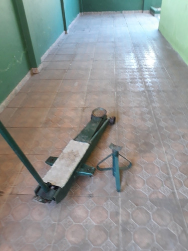 Macaco Jacare