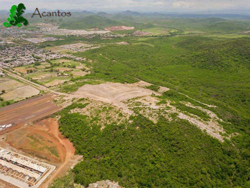 Imagen 7 de 7 de Terreno - Fraccionamiento Los Magueyes