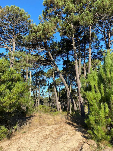 Terreno - Punta Del Este