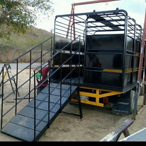 Imagen 4 de 7 de Ganado