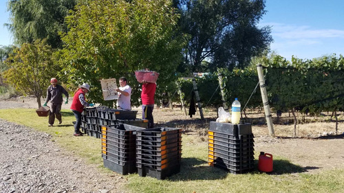 Imagen 10 de 30 de Cabaña Del Alto Tupungato Valle De Uco Mendoza Casa De Campo