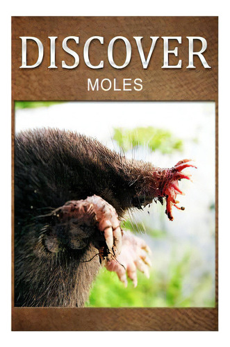 Moles - Discover: Early Reader's Wildlife Photography Book, De Press, Discover. Editorial Createspace, Tapa Blanda En Inglés
