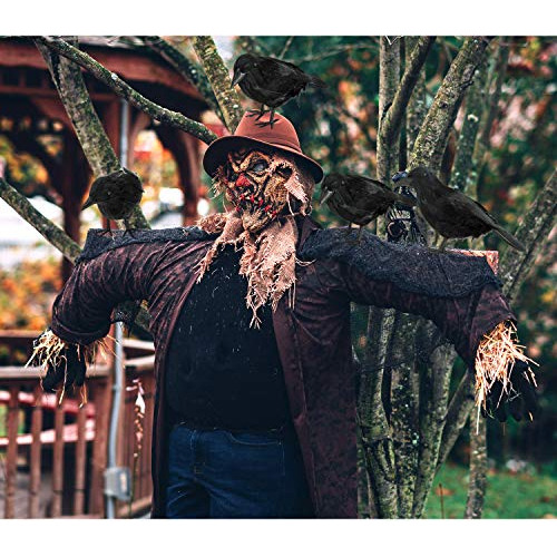 Paquete De 4 Cuervos Negros De Halloween, Decoración D...