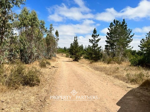 Sitio Parcelación Cerro Ñanco