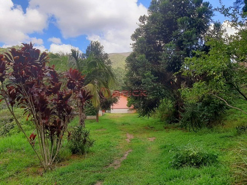 Imagem 17 de 23 de Propriedade Com 120 Mil M² De Área Em Teresópolis. - St00188 - 69390058