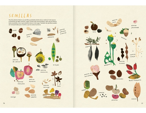 Imagen 3 de 7 de Explora Tu Mundo Al Natural - Amanuta - Libros Árbol Rojo