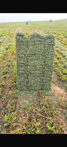 Fardos De Alfalfa De Primera Calidad, Envíos A Todo El País.