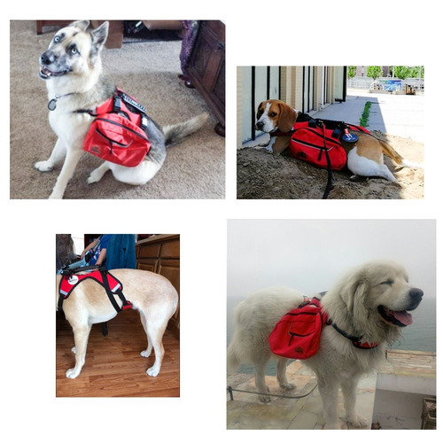 Mochila Para Sillín Para Perros Grandes, Desmontable, Se