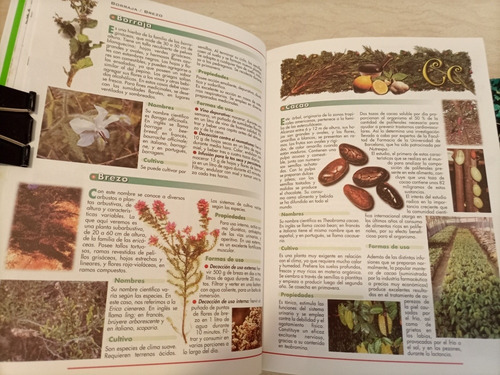 El Poder Curativo Y Sanador De Las Plantas Más Uno Afín. (Usado)