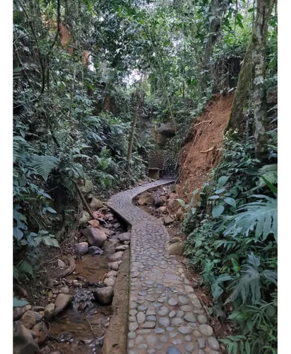 Venta Lote En Vereda Rio Claro De 1523mt2 En Jamundí, Valle 6476.
