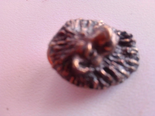 Pines, Colección Animales Salvajes Africanos