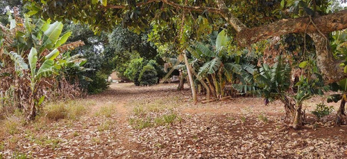 Imagem 8 de 20 de Sítio À Venda, 290400 M² Por R$ 900.000,00 - Zona Rural - Santa Rita Do Passa Quatro/sp - Si0014