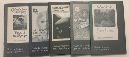5 Guías De Trabajo Para El Profesor Sudamericana