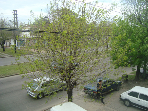 Alquiler De Departamento En Burzaco: 2 Amb. Centrico 1er Piso S/av.h.irigoyen. Sin Expensas.