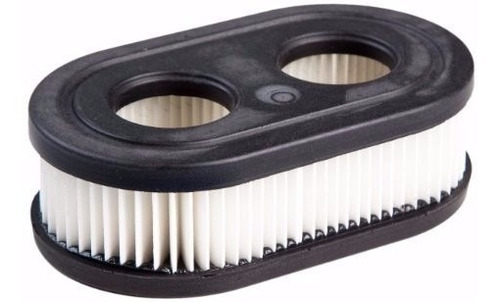 Filtro De Aire Para Cortadora Naftera Briggs Stratton