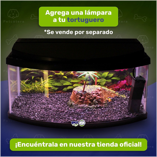 Imagen 6 de 10 de Kit Tortuguero Equipado | Pecera Panoramica | Tortugas
