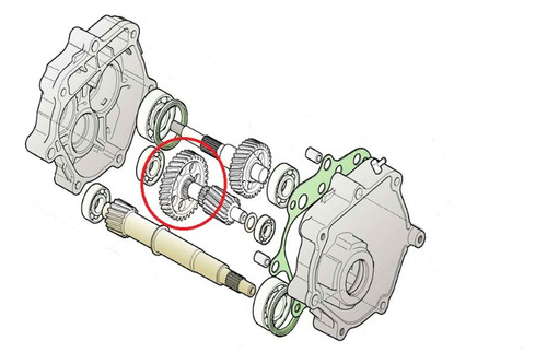 Engranaje De Contraeje Transmisión Daelim S3 250 - Rvm