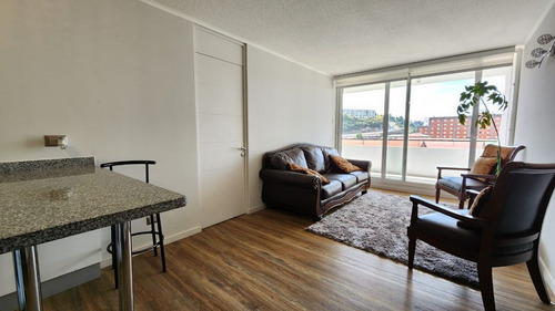 Lindo Departamento En Condominio, Puerto Montt