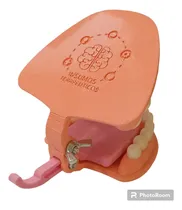 Comprar Boca Didáctica_ Insumos Terapéuticos_ Impresión 3d