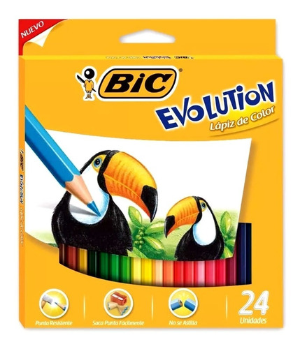 Lapices De Colores Bic Evolution Largos X 24 Unidades