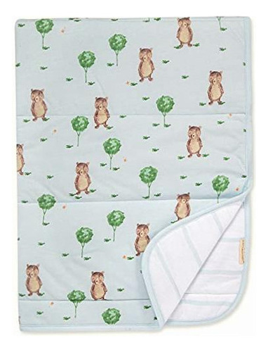 Burt's Bees Baby Manta Reversible, Ropa De Cama Acolchada De Color Oso Storybook